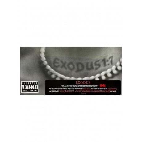 DMX - Exodus (0602438261345) виниловая пластинка - фото 7