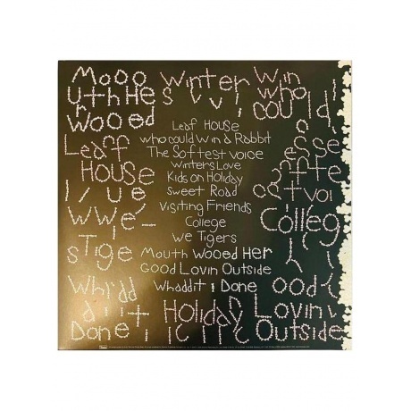 Animal Collective - Sung Tongs (coloured) (0194606000639) виниловая пластинка - фото 4