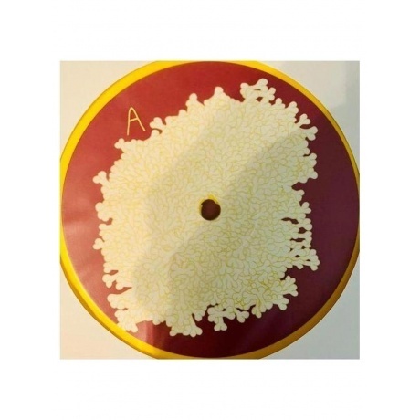 Animal Collective - Sung Tongs (coloured) (0194606000639) виниловая пластинка - фото 5