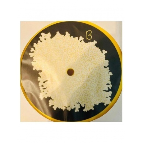 Animal Collective - Sung Tongs (coloured) (0194606000639) виниловая пластинка - фото 6