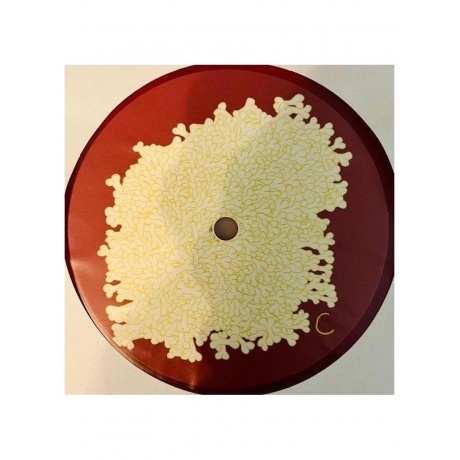 Animal Collective - Sung Tongs (coloured) (0194606000639) виниловая пластинка - фото 7