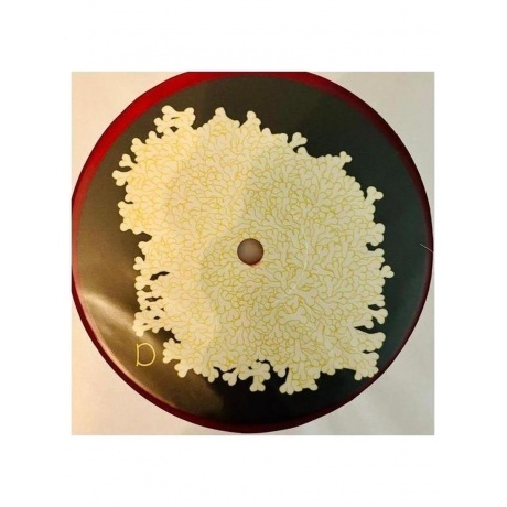 Animal Collective - Sung Tongs (coloured) (0194606000639) виниловая пластинка - фото 8