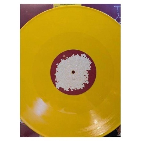 Animal Collective - Sung Tongs (coloured) (0194606000639) виниловая пластинка - фото 9