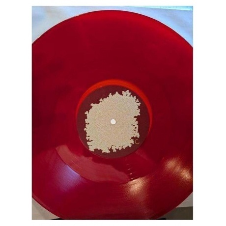 Animal Collective - Sung Tongs (coloured) (0194606000639) виниловая пластинка - фото 10