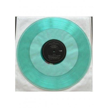 Bastille - &amp; (coloured) (0602468033721) виниловая пластинка - фото 6