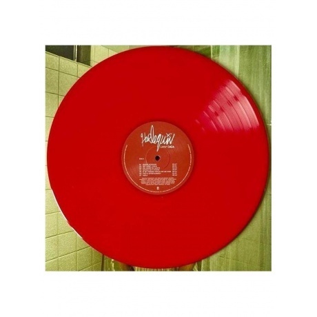 Lady GaGa - Harlequin (coloured) (0602475052876) виниловая пластинка - фото 8