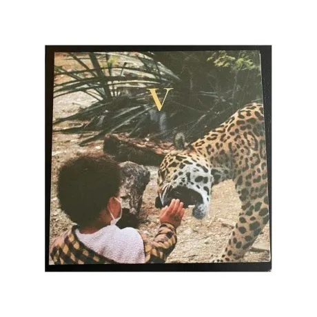 Unknown Mortal Orchestra - V (0656605242217) виниловая пластинка