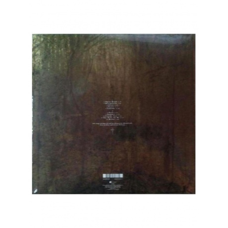 Blackfield - Blackfield (coloured) (0802644823331) виниловая пластинка - фото 2