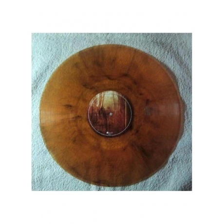 Blackfield - Blackfield (coloured) (0802644823331) виниловая пластинка - фото 4