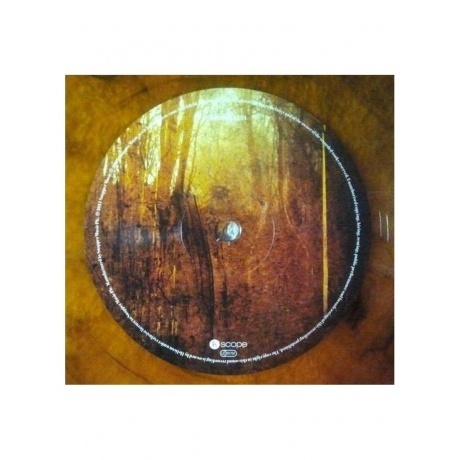 Blackfield - Blackfield (coloured) (0802644823331) виниловая пластинка - фото 5