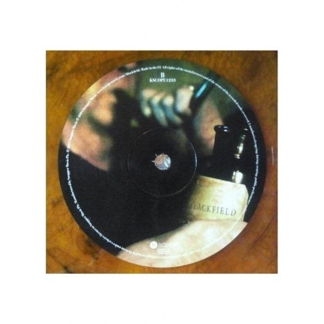 Blackfield - Blackfield (coloured) (0802644823331) виниловая пластинка - фото 6