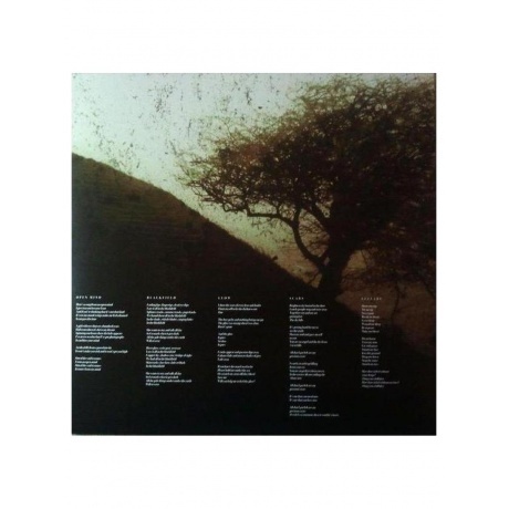 Blackfield - Blackfield (coloured) (0802644823331) виниловая пластинка - фото 7