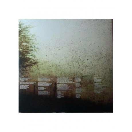 Blackfield - Blackfield (coloured) (0802644823331) виниловая пластинка - фото 8