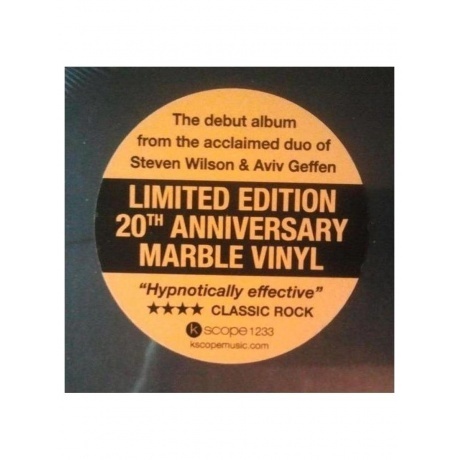 Blackfield - Blackfield (coloured) (0802644823331) виниловая пластинка - фото 9