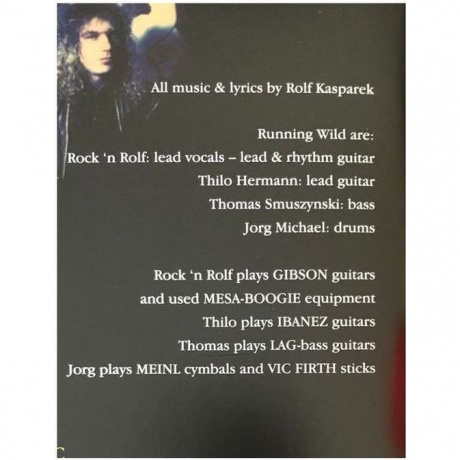 Running Wild - Black Hand Inn (4050538268126) виниловая пластинка - фото 13