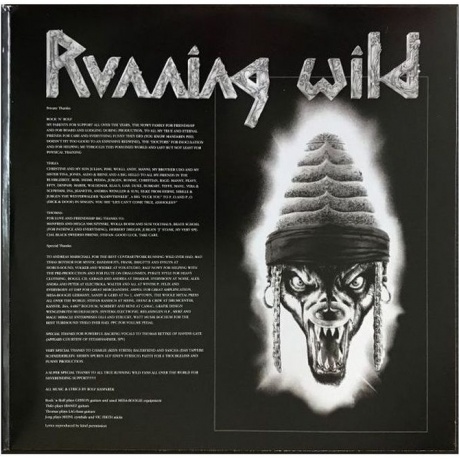 Running Wild - Black Hand Inn (4050538268126) виниловая пластинка - фото 4