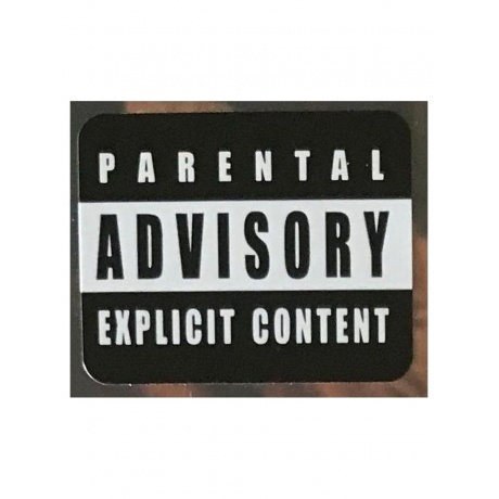 Виниловая пластинка Running Wild - Black Hand Inn (4050538268126) - фото 11