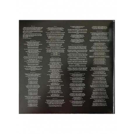 Виниловая пластинка Running Wild - Black Hand Inn (4050538268126) - фото 3