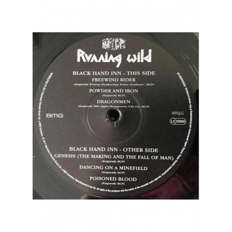 Виниловая пластинка Running Wild - Black Hand Inn (4050538268126) - фото 8