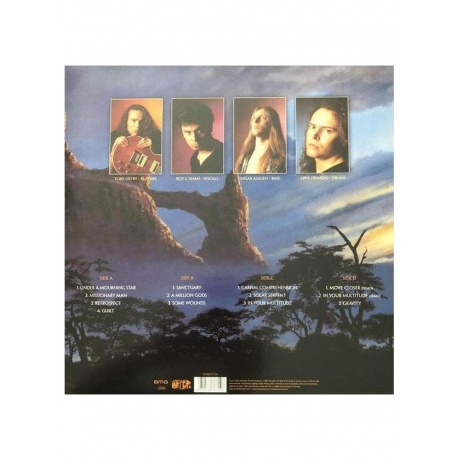 Виниловая пластинка Conception - In Your Multitude (coloured) (4050538787146) - фото 2