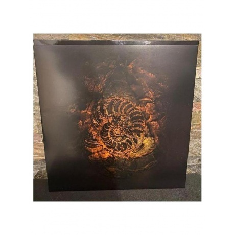 Nightwish - Human.:II:Nature. (coloured) (4065629677633) виниловая пластинка - фото 14