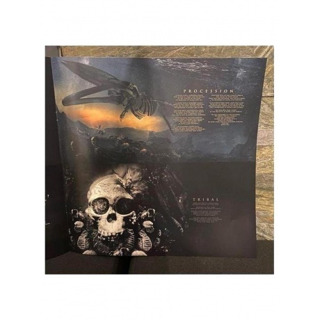 Nightwish - Human.:II:Nature. (coloured) (4065629677633) виниловая пластинка - фото 19