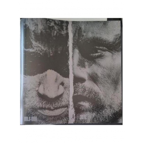 Die Apokalyptischen Reiter - Wilde Kinder (4065629610814) виниловая пластинка - фото 13