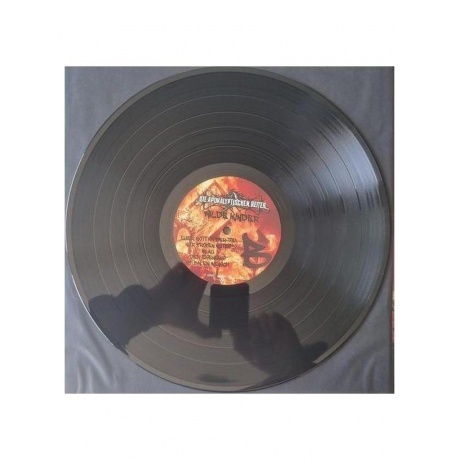 Die Apokalyptischen Reiter - Wilde Kinder (4065629610814) виниловая пластинка - фото 4