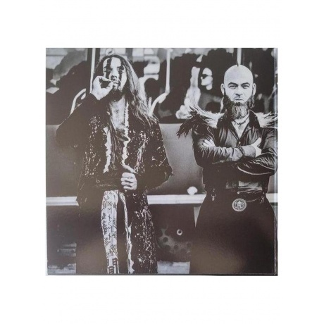 Die Apokalyptischen Reiter - Wilde Kinder (4065629610814) виниловая пластинка - фото 5