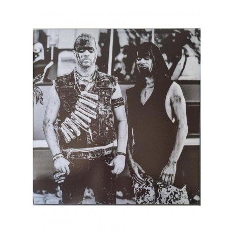 Die Apokalyptischen Reiter - Wilde Kinder (4065629610814) виниловая пластинка - фото 6