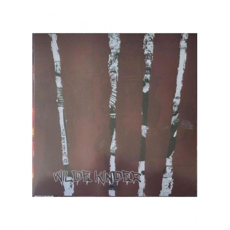 Die Apokalyptischen Reiter - Wilde Kinder (4065629610814) виниловая пластинка - фото 7