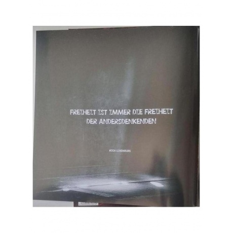 Die Apokalyptischen Reiter - Wilde Kinder (4065629610814) виниловая пластинка - фото 8