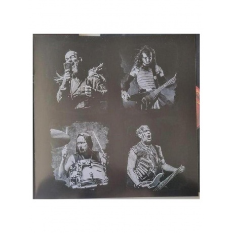 Die Apokalyptischen Reiter - Wilde Kinder (4065629610814) виниловая пластинка - фото 9