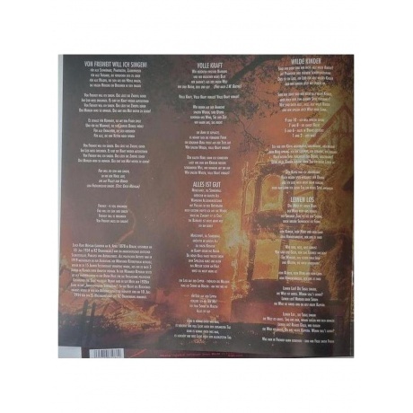 Die Apokalyptischen Reiter - Wilde Kinder (4065629610814) виниловая пластинка - фото 10