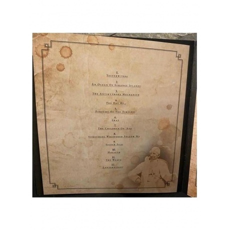 Nightwish - Yesterwynde (coloured) (4065629725440) виниловая пластинка - фото 11