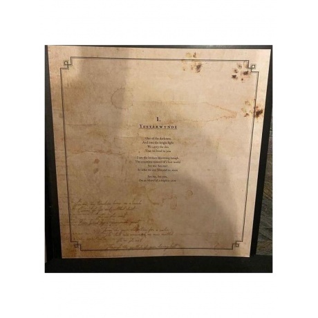 Nightwish - Yesterwynde (coloured) (4065629725440) виниловая пластинка - фото 12