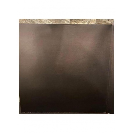 Nightwish - Yesterwynde (coloured) (4065629725440) виниловая пластинка - фото 3