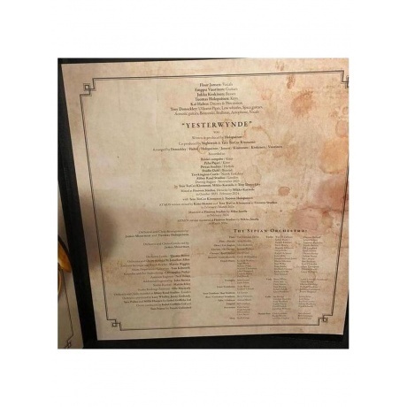 Nightwish - Yesterwynde (coloured) (4065629725440) виниловая пластинка - фото 23