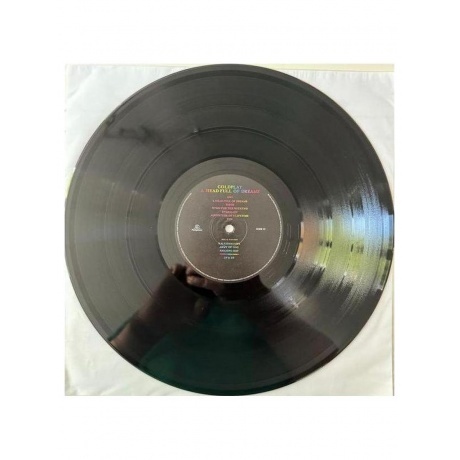 Coldplay - A Head Full Of Dreams (5054197607448) виниловая пластинка - фото 4