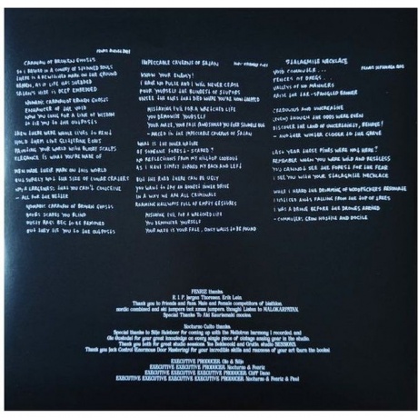 Darkthrone - Astral Fortress (0801056895912) виниловая пластинка - фото 3