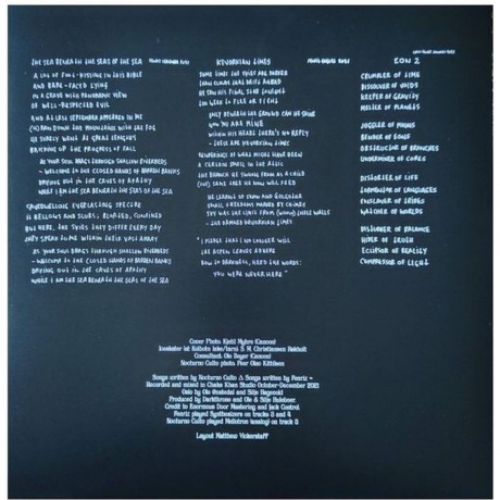 Darkthrone - Astral Fortress (0801056895912) виниловая пластинка - фото 4