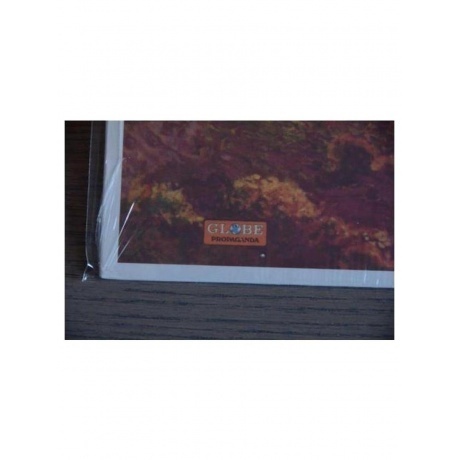 Quicksilver Messenger Service - Happy Trails (Analogue) (5060149620977) виниловая пластинка - фото 3