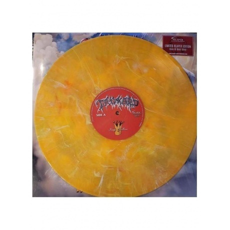 Tankard - Kings Of Beer (coloured) (4255698500707) виниловая пластинка - фото 4