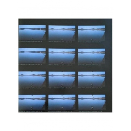 Post Malone - F1-Trillion (0602465835571) виниловая пластинка - фото 9