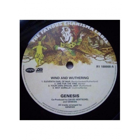Genesis - Wind &amp; Wuthering (2024 Vinyl Reissues) (0081227955311) виниловая пластинка - фото 4