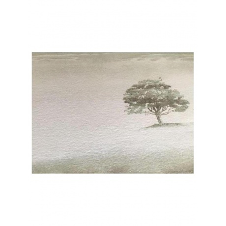 Genesis - Wind &amp; Wuthering (2024 Vinyl Reissues) (0081227955311) виниловая пластинка - фото 6