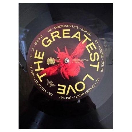 London Grammar - The Greatest Love (0196588792014) виниловая пластинка - фото 4