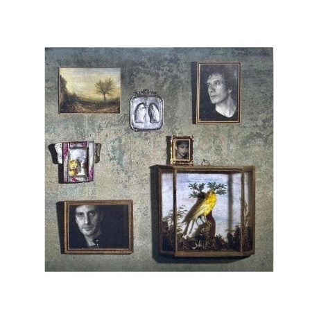 Sade - Soldier Of Love (Half Speed) (0196587848514) виниловая пластинка - фото 3