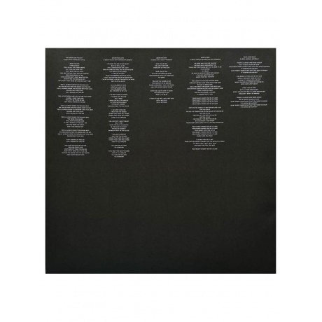 Sade - Soldier Of Love (Half Speed) (0196587848514) виниловая пластинка - фото 8