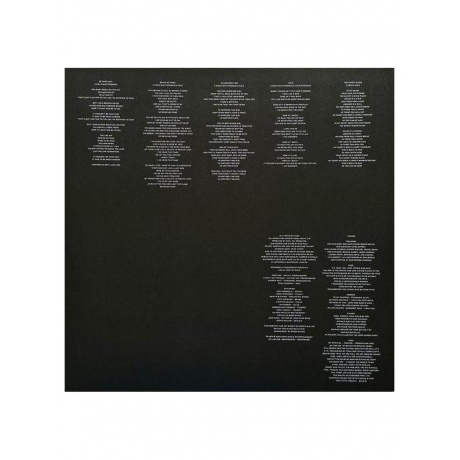 Sade - Soldier Of Love (Half Speed) (0196587848514) виниловая пластинка - фото 9